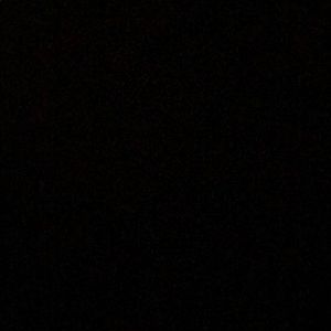 Meet your Posher, Josephine